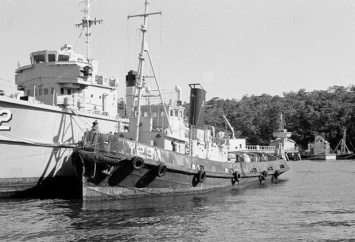 tug bronze wing